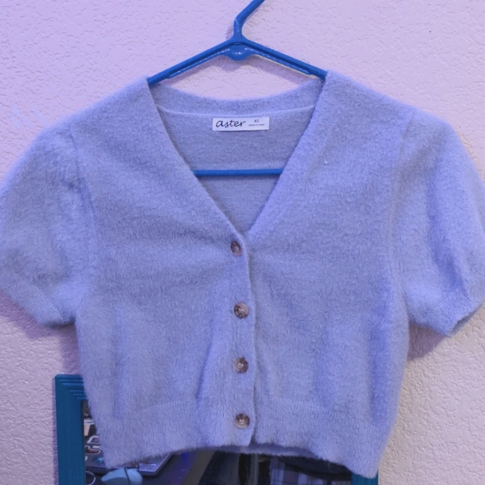 aster fuzzy crop top